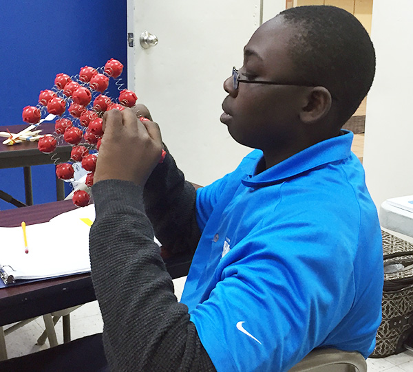 Zion studied the spring-and-ball model.